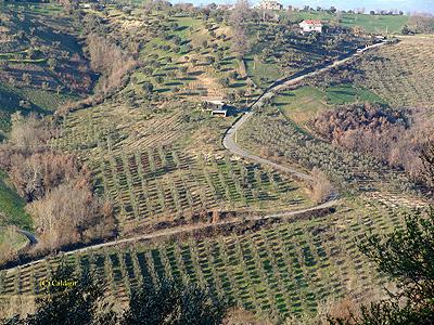 ValledelGruccione01.jpg