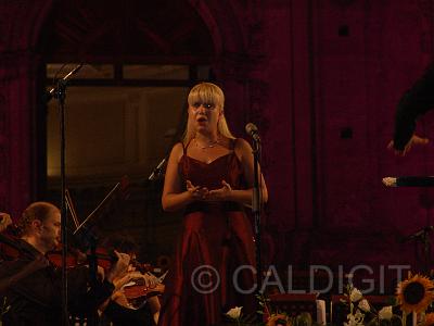 DSC04461.JPG